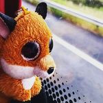 Bernard Le Renard - @renardbernardle - Instagram
