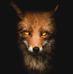 Bernard Renard - Facebook