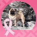Bernard Renaud - Facebook
