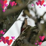 Bernard Renaudin - @bernardrenaudin - Instagram