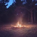 Bernard Reul - @bernard.reul.1 - Instagram