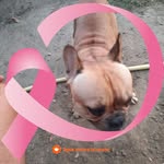 Bernard Rey - @bernard.rey.5070 - Instagram