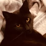Bernard Reymond - @bernard.reymond.10 - Instagram