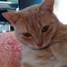Bernard Riviere - Facebook