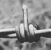Bernhard Richter - Facebook