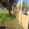 rigaudbernard - @rigaudbernard2 - TikTok