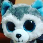 Bernard Rios - @bernardriosrodriguez - Instagram