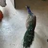 Bernardo Rios - @bernardorios07 - TikTok