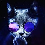 Zeus Alfa - @bernardo.guarizzo - Instagram
