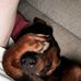 Bernard Roberts - Facebook