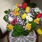 Bernard Robles - @robles_bernard - Instagram