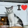 Bernardo Rocha - @bernardo.rocha309 - TikTok