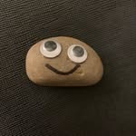 Bernard Rock - @bernardthepet_rock - Instagram