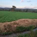 Bernard Roger - @bernard.roger.7393 - Instagram