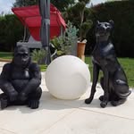 Bernard Rollet - @bernardrollet - Instagram