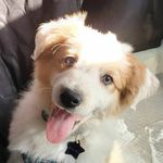 BEANS! - @bernardruffinstein - Instagram