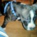 Bernard Ruffin - Facebook