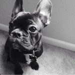 Bernard Ruffington - @bernardruffington - Instagram