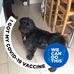 Bernard Taylor - Facebook