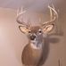 Bernard Timmons - Facebook