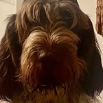Bernard Van der Cruys - @bernardvandercruys - Instagram
