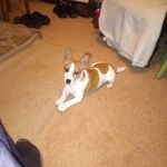Bernard Walsh - @bernard.walsh.67 - Instagram