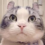王平平 - @bernard.wang.560 - Instagram