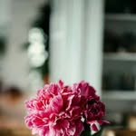 Bernard Wang - @bernardwang6 - Instagram