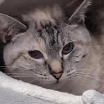 Bernard Watterson - @bernard_wattersonn - Instagram