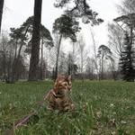 @bernardwattsa - Instagram