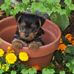 Kenneth Bernard Welsh - Facebook