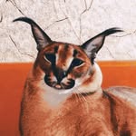 @bernard__werner - Instagram