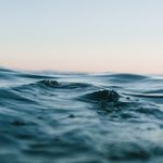 Bernard Whipple - @whipple4349 - Instagram