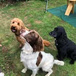 Bernard Whiting - Facebook