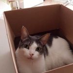 Bernard Malika Wickers - @bernardwickers - Instagram