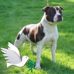 Bernard Williamson - Facebook