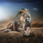 Bernard Willis - @bernardwillis64 - Instagram