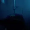 user475899509586 - @wolfbernard2 - TikTok