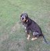 Bernard Workman - Facebook