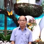 Bernard Yee - @senghoi1687 - Instagram