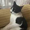 Bernardo - @bernardoyee - TikTok