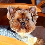 @_bernard_york_ - Instagram
