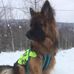 Bernard M Ziolkowski - Facebook