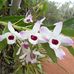 Bernarda Alvarez - Facebook