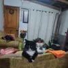 Bernarda Barrera - @bernarda.barrera63 - TikTok