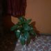 Bernarda Campos - Facebook