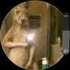 Bernarda Castillo - @bernarda.castillo79 - TikTok