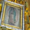 bernardachavez686 - @bernardachavez686 - TikTok