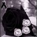Bernarda Luna - Facebook