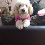 Bernarda Marin Astudillo - @bernardamarinastudillo - Instagram